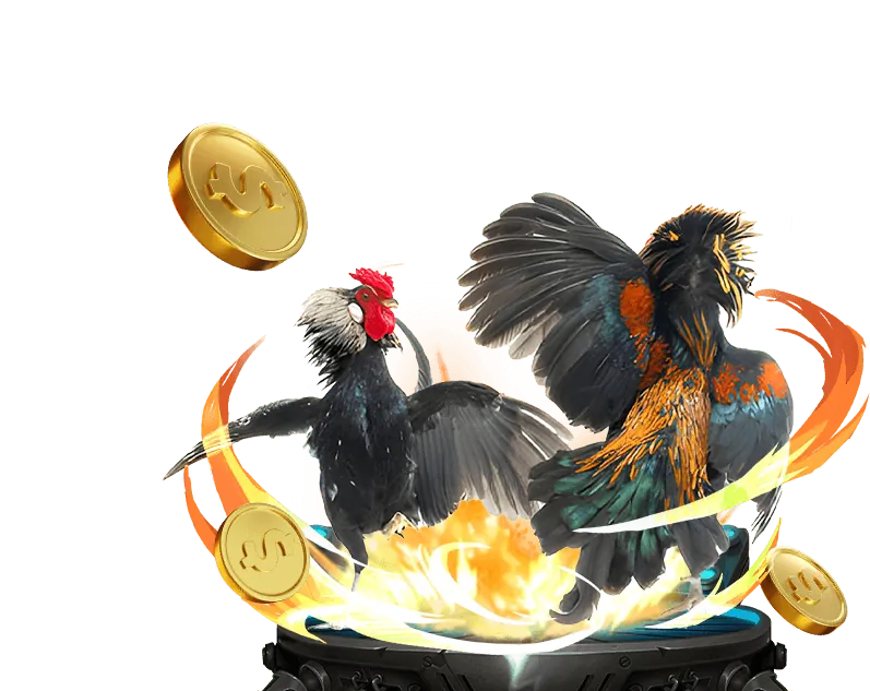 Cá Cược Thể Thao Trực Tuyến bong88 viet